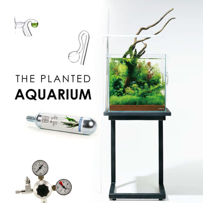 Planted Aquarium