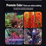 Neo Helios XP Series VIVID Flat LED Lights