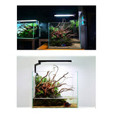CHIHIROS C2 CII Planted Tank LED Light | For 20-40 cm tank | Wireless App Control
