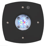 AquaIllumination Prime 16HD Reef LED Light