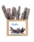 Caribsea Liferock Belize Branch | 20 Lb