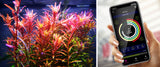 NemoLight Extreme Series II Planted LED Light | App Controlled