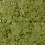 Ocean Nutrition Formula Two Flakes