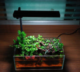 CHIHIROS C2 CII RGB Planted Tank LED Light | For 20-40 cm tank | Wireless App Control