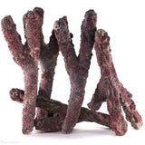 Caribsea Liferock Belize Branch | 20 Lb